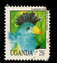 Uganda - #1070 Birds - Great Blue Turaco - Used