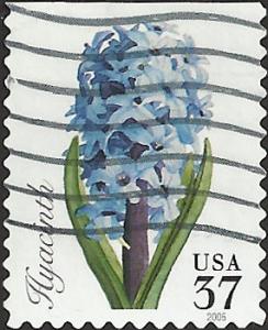 # 3900 USED HYACINTH