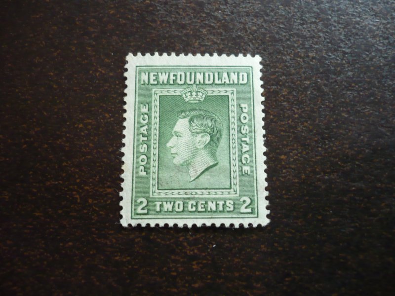 Stamps - Newfoundland - Scott# 245 - Used Part Set of 1 Stamp