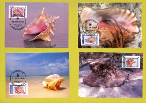 Nevis WWF World Wild Fund for Nature maxi cards Queen Conch sea shells