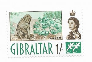 Gibraltar #126 MNH CAT VALUE $1.50
