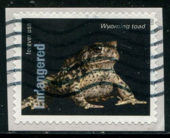 5799j US (63c) Endangered Species - Wyoming Toad SA, used on paper