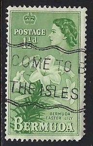 Bermuda 145 VFU FLOWERS M1116-3