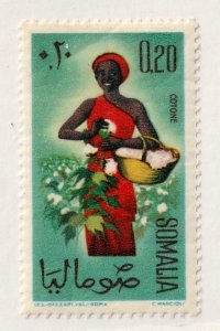 Somalia       252       used