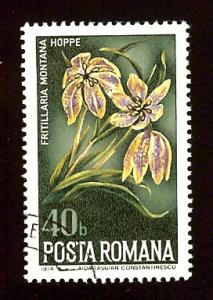 Romania 2514 40b Lily flower 1974 used