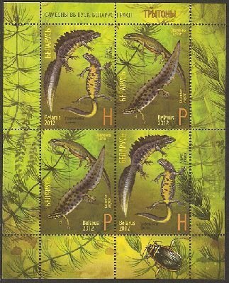 Belarus Belorussia 2012 Fauna Newts Tritons Joint issue with Russia block MNH