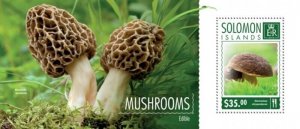 Solomon Islands - 2014 Mushrooms - Stamp Souvenir Sheet - 19M-632