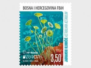 Bosnia / Bosnië - Postfris/MNH - Complete set Europa, Underwater Fauna 2024