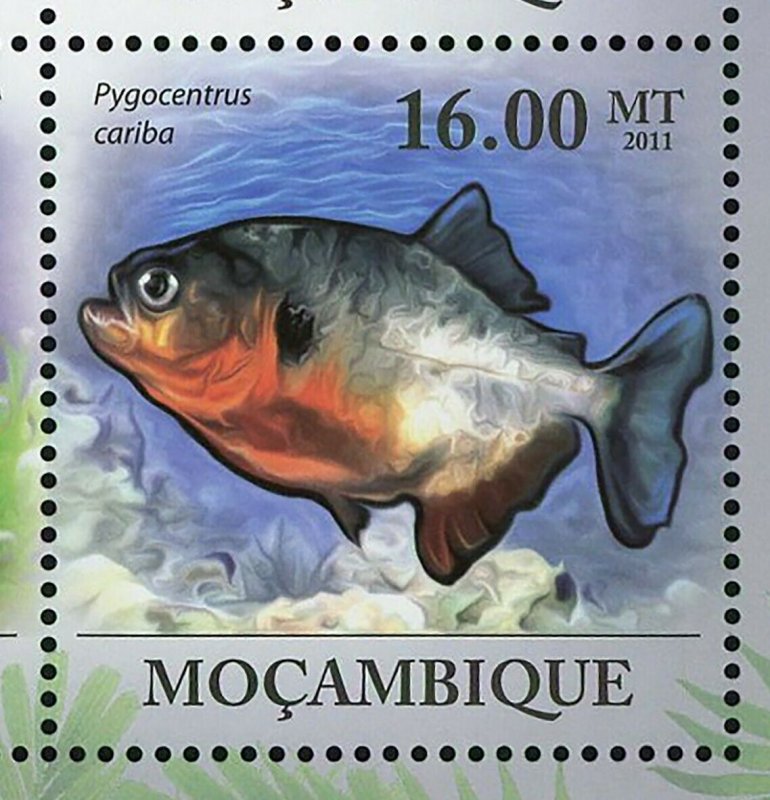 Piranhas Stamp Fish Pygocentrus Nattereri Serrasalmus Manueli S/S MNH #4287-4292