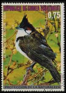 Equatorial Guinea sw1243 - Cto - 0.75p Red-whiskered Bulbul (1976)