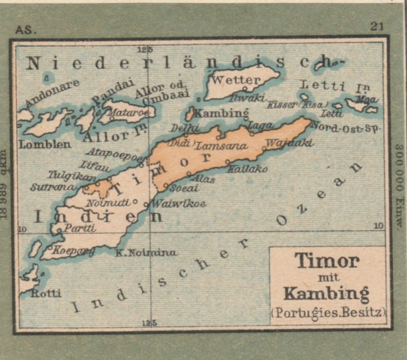 Germany Schaubek Poster Stamp TIMOR Map A6102