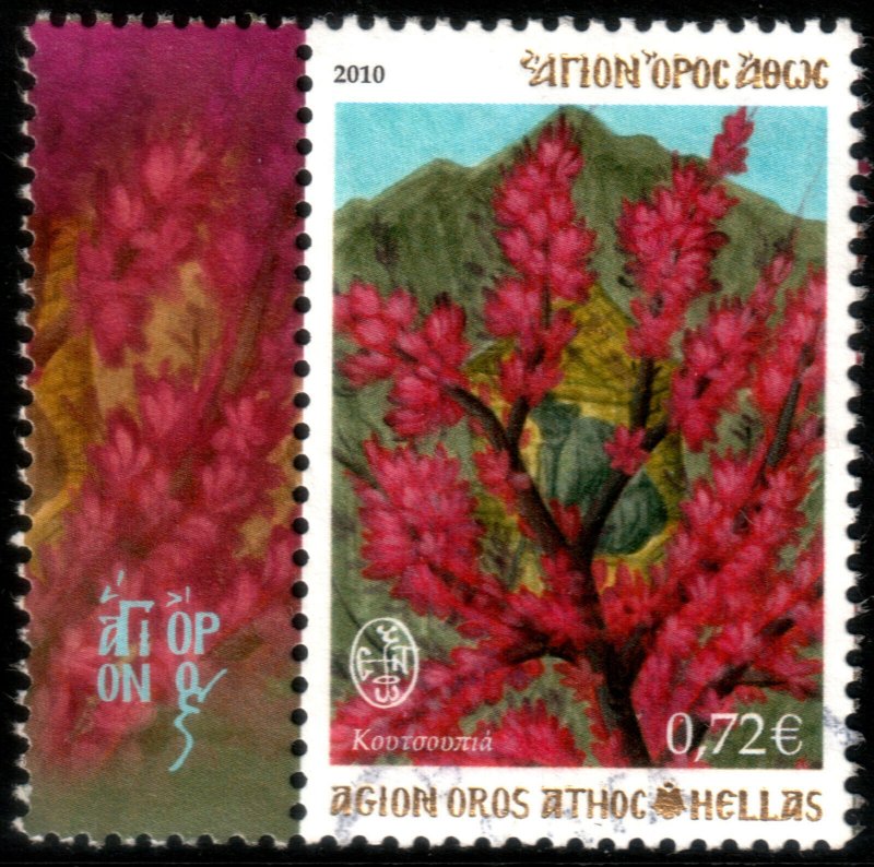 ✔️ GREECE MOUNT ATHOS 2010 - FLOWERS -  MI. 47 USED [007] LOW ISSUE