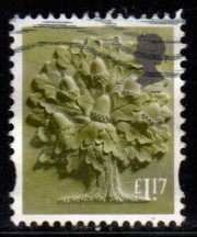 England - #33 Oak Tree - Used