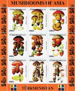 Turkmenistan 1999 Mushrooms of Asia II IBRA Expo-Philatelic Sheetlet Perf.MNH