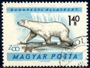 Polar Bear, Hungary stamp SC#1352 used