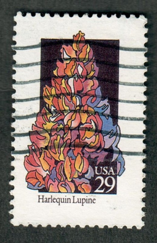 2664 Wildflowers used single