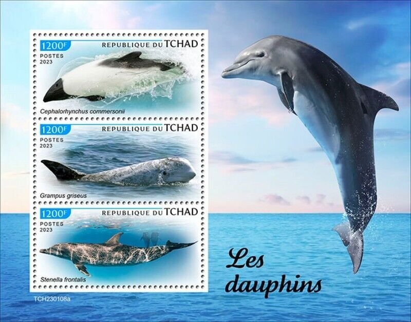 Chad - 2023 Dolphins, Risso's, Atlantic Spotted - 3 Stamp Sheet - TCH230108a