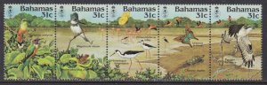 Bahamas, Fauna, Birds, Butterflies, Turtles MNH / 1984