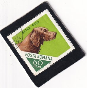 Romania   #     1811     used