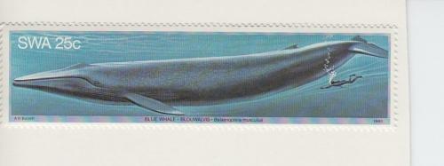 1980 South West Africa Blue Whale (Scott 442) MNH