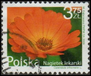 Poland 3946 - Used - 3.75z Marigold (2009) (cv $2.15)