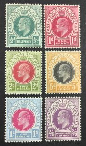 MOMEN: NATAL SG #146-149,153,155,157 1904-1908 MINT OG H £200 LOT #64427