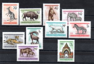 HUNGARY - 1961 - BUDAPEST ZOO - ANIMALS - FAUNA -