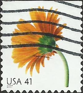 # 4177 USED ORANGE GERBERA
