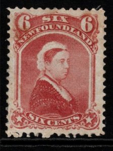 NEWFOUNDLAND SG39 1870 6c ROSE MTD MINT