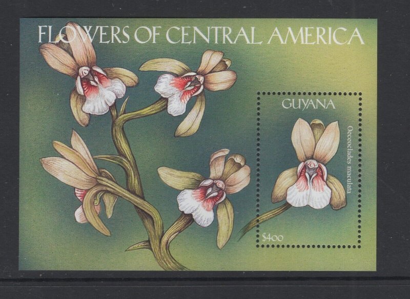 Guyana #3539 (2000 Flowers sheet) VFMNH CV $9.50