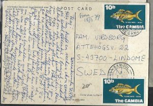 GAMBIA COVER (PP2909BB) 1974 PPC 10B FISH X2  BANJUL TO SWEDEN 