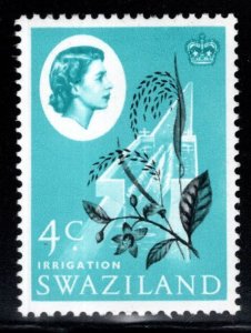 Swaziland Scott 97 MH*  From 1962  QE2 set