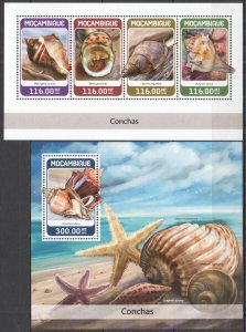 HM1313 2018 MOZAMBIQUE SHELLS SEASHELLS MARINE LIFE FAUNA #9494-7+BL1339 MNH