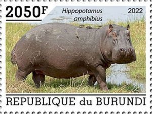 Burundi - 2022 Common Hippopotamus - Stamp - BUR2201019a