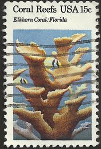 # 1828 USED ELKHORN CORAL PORKFISH