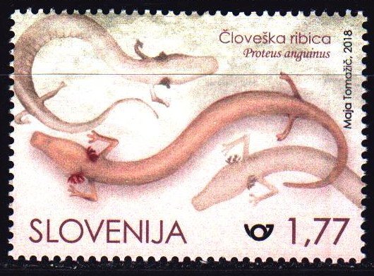 Slovenia. 2018. 1313. Salamander, fauna. MNH.