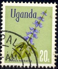 Flower, Coleus Barbatus, Uganda stamp SC#118 used