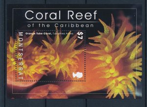 [40592] Montserrat 2009 Marine life coral reef Souvenir Sheet MNH