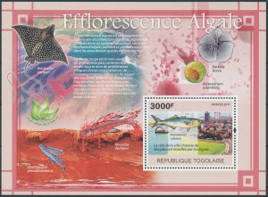 Togo 2011 MNH Environment Stamps Algal Bloom Fish Fishes Conservation 1v S/S