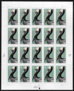 US #3774  37c Brown Pelican Sheet, VF/XF OG NH, fresh sheets, STOCK PHOTO