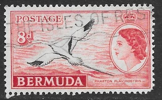 Bermuda 153: 8d White-tailed Tropicbird (Phaethon lepturus), used, F-VF