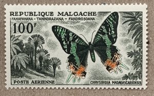 Malagasy 1960 100fr Butterfly,  MNH.  Scott C64, CV $5.00