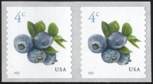 USA 5653 Mint (NH) Blueberries Coil Stamp Pair (Additional Postage 4c)