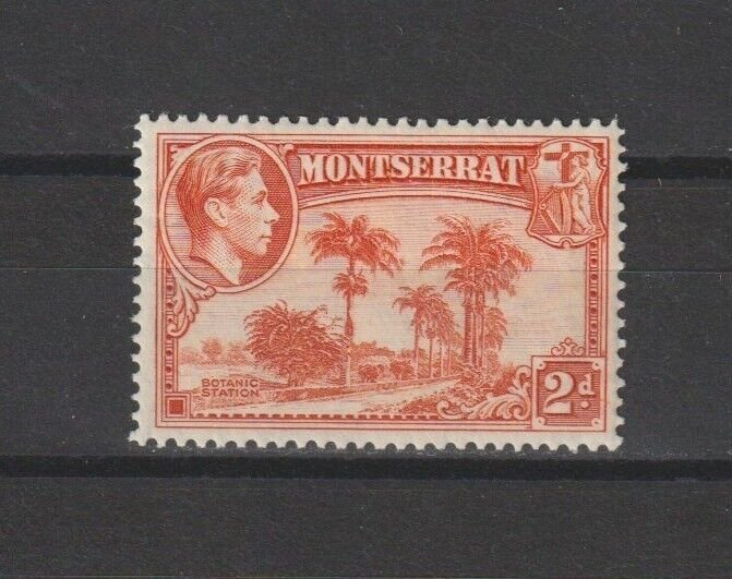 MONTSERRAT 1938/48 SG 104 MINT Cat £25