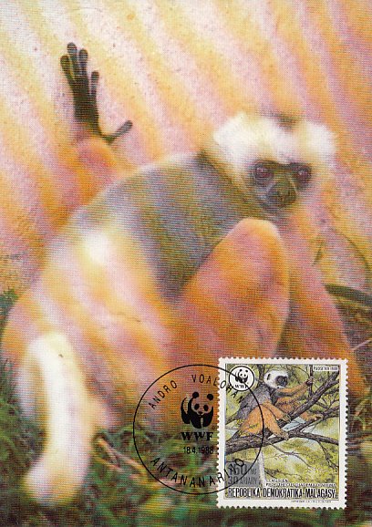 Madagascar 1988 Maxicard Sc #837 150fr Diademed Sifaka lemur WWF