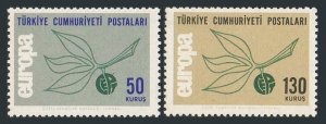 Turkey 1665-1666,MNH.Michel 1961-1962. EUROPE CEPT-1965.Leaves,Fruit.