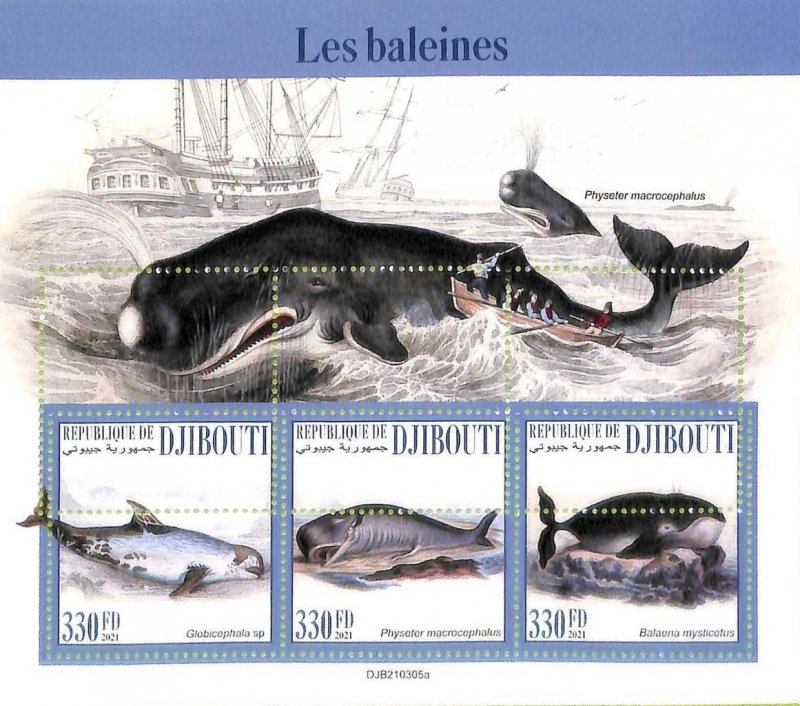 A7709 - DJIBOUTI -  ERROR MISPERF Stamp Sheet - 2021  Marine mammals WHALES