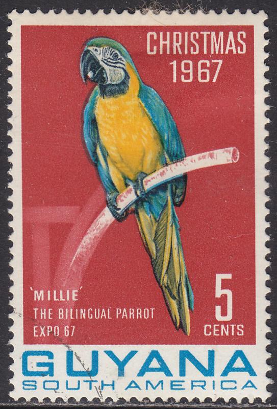 Guyana 34 CTO 1968 Macaw Parrot