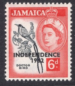 JAMAICA SCOTT 190