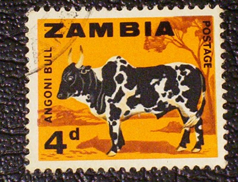 Zambia Scott #8 used